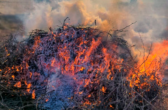 Los pueblos de Lena rechazan la nueva Ley de Residuos, que prohíbe quemar matorral en las fincas